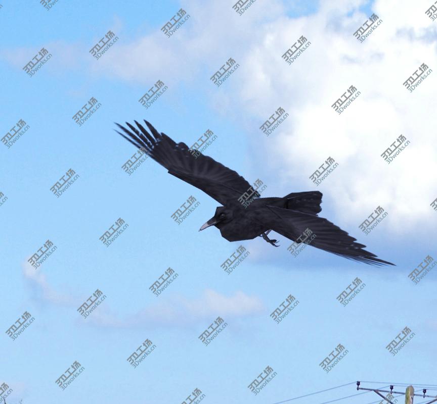 images/goods_img/2021040161/Animated Low Poly Raven/4.jpg
